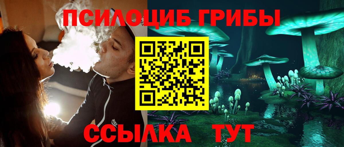 Псилоцибиновые грибы мухоморы Владимир