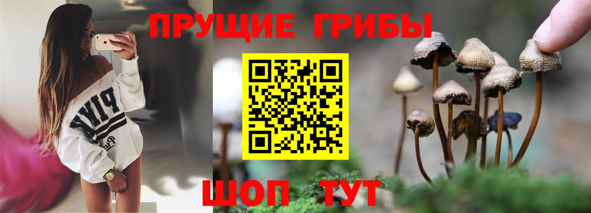 даркнет сайт  Вход с VPN  Владимир  Галлюциногенные грибы ЛСД 