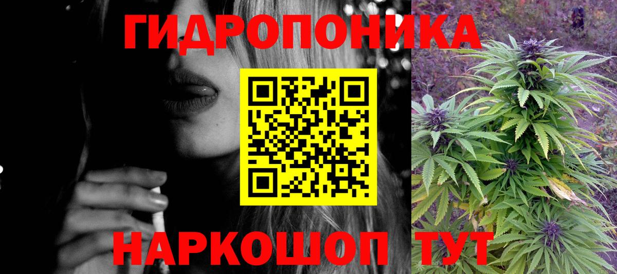 Конопля семена Владимир