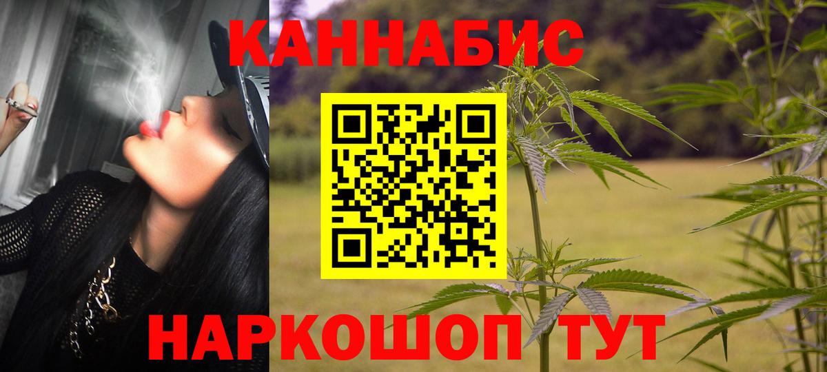 Бошки Шишки OG Kush  Бошки Шишки семена  Владимир 
